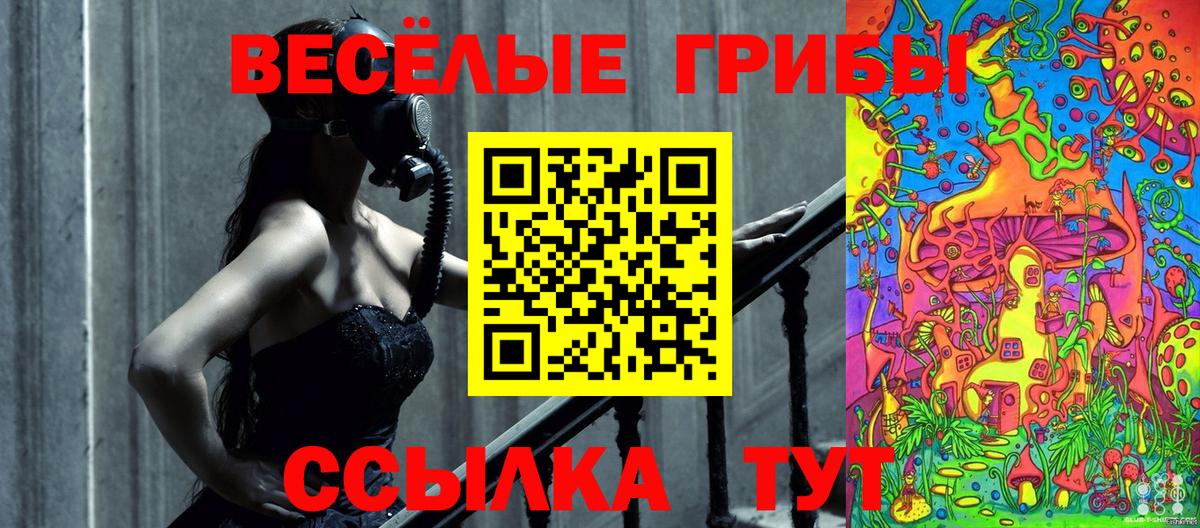 Галлюциногенные грибы Psilocybe Магнитогорск